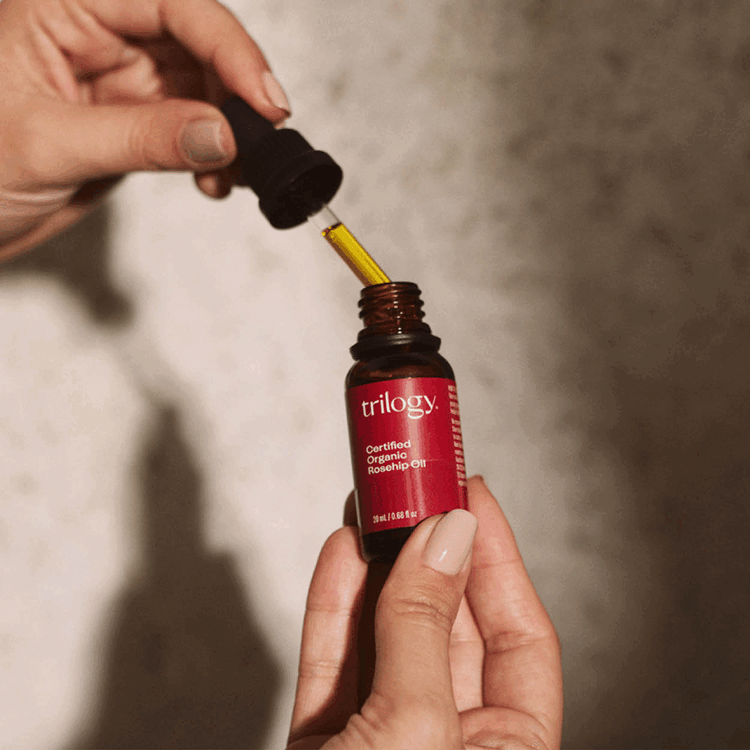 Your festive guide to holiday gifting - chosen by our team