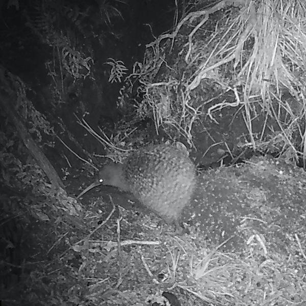 Your festive guide to holiday gifting - chosen by our team