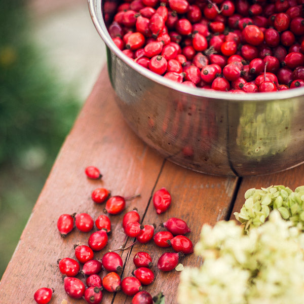 Your festive guide to holiday gifting - chosen by our team