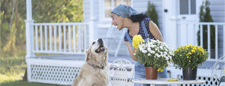 Woman and dog smiling at each other 
