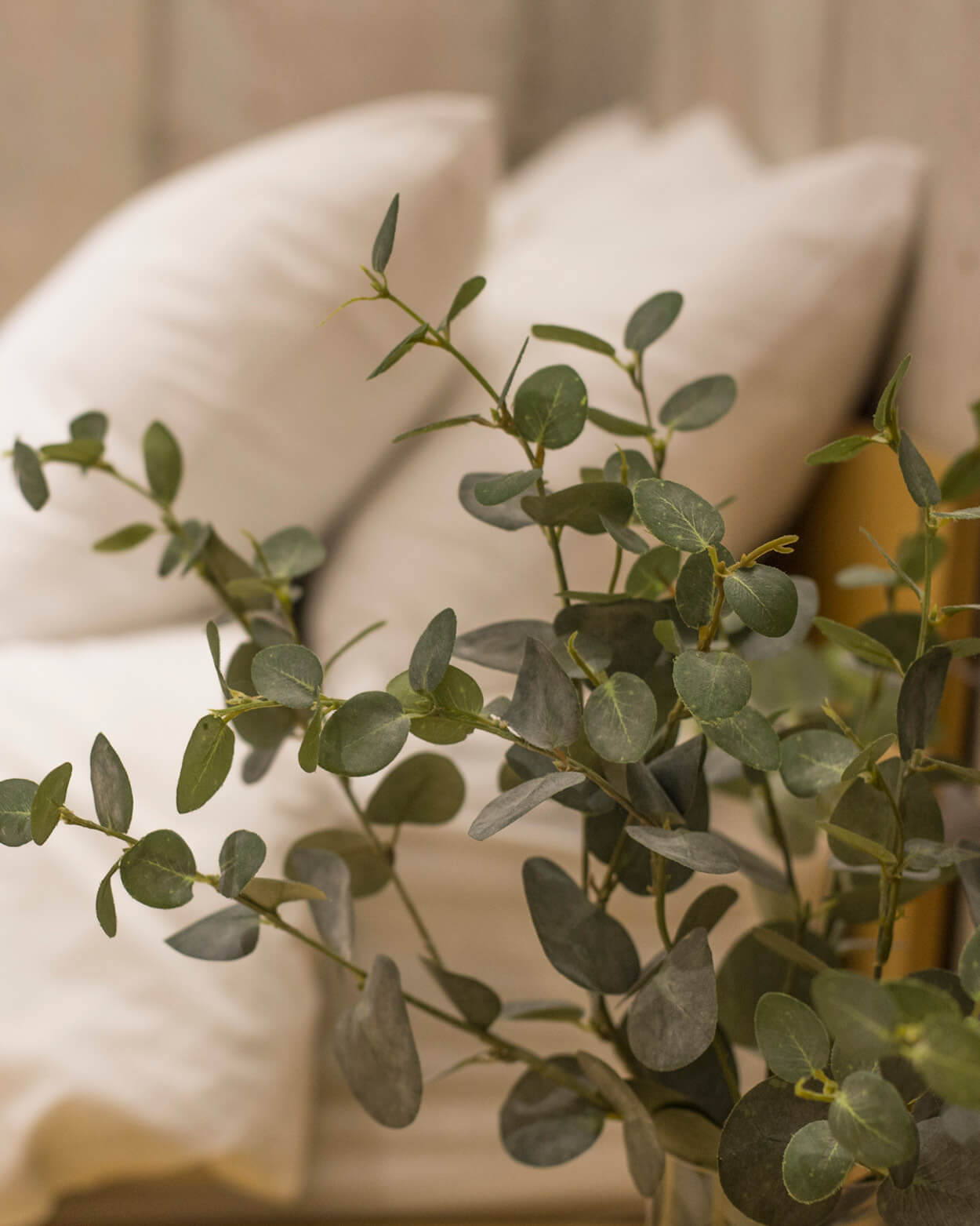 Close-up of green eucalyptus leaves with blurred pillows in the background.