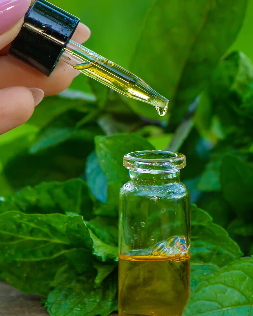 Hand holding a dropper with green liquid over a small bottle of green liquid, against a green leafy background