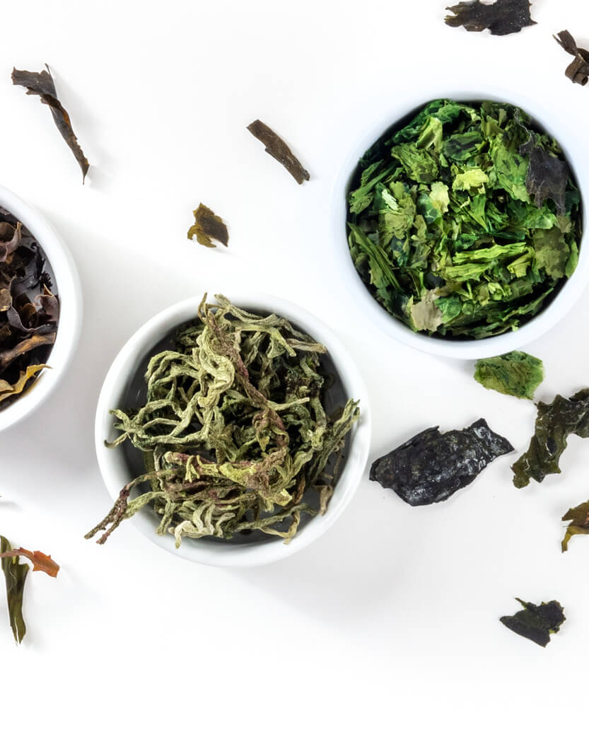 Assorted types of dried green seaweed in small white bowls on a white background