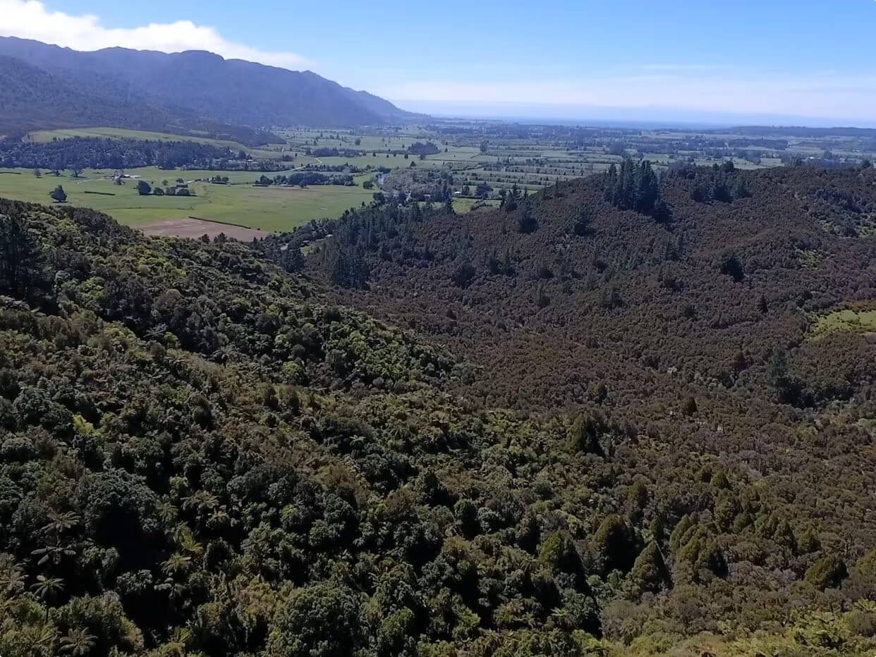 View of dense forest and mountains on the horizon.