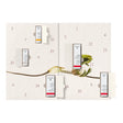 Christmas Advent Calendar