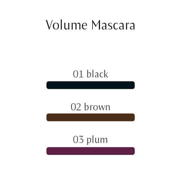 Dr Hauschka Mascara Volume 01 Black_2
