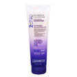 2Chic Repairing Conditioner