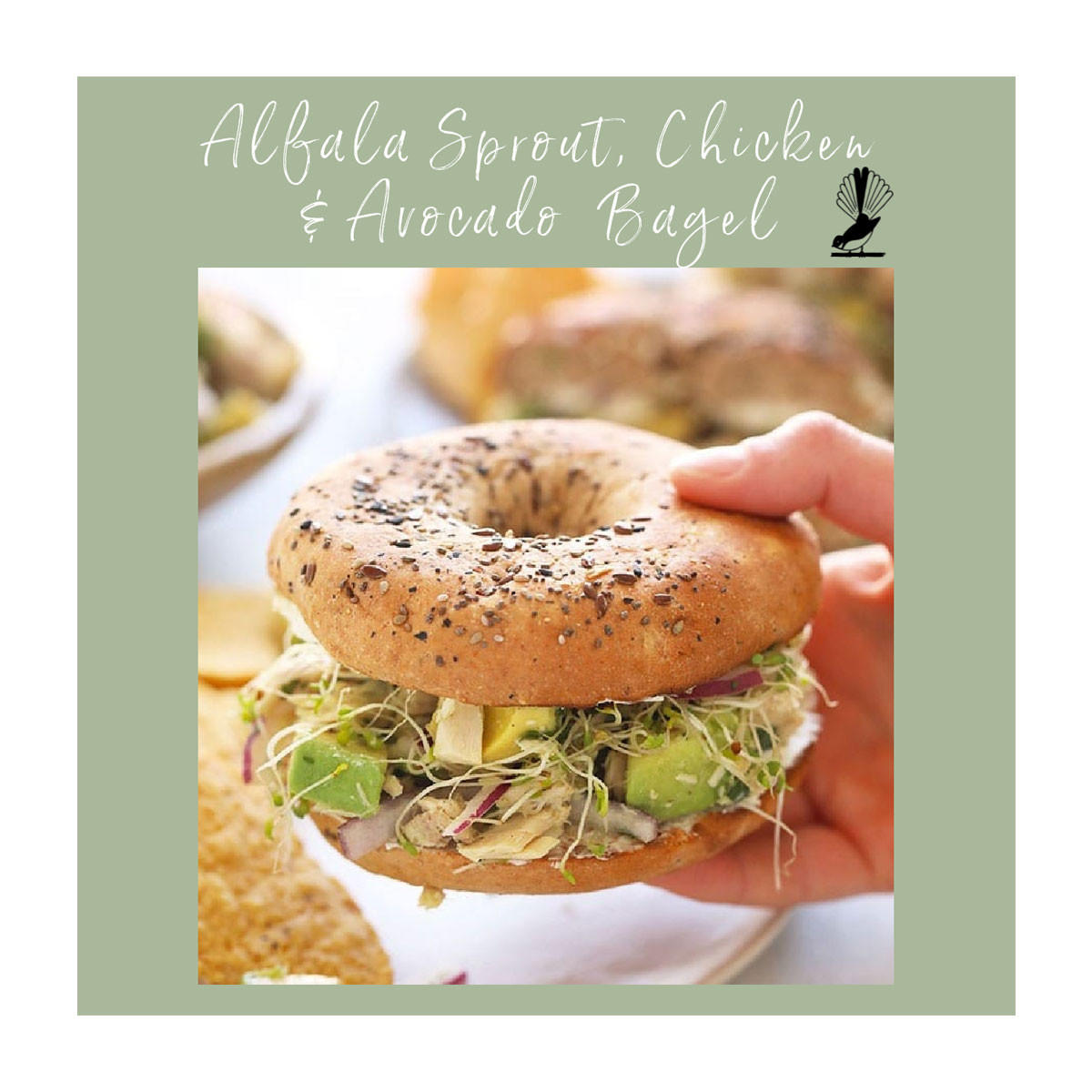 Goodlife Organic Alfalfa Sprouting Seeds_2