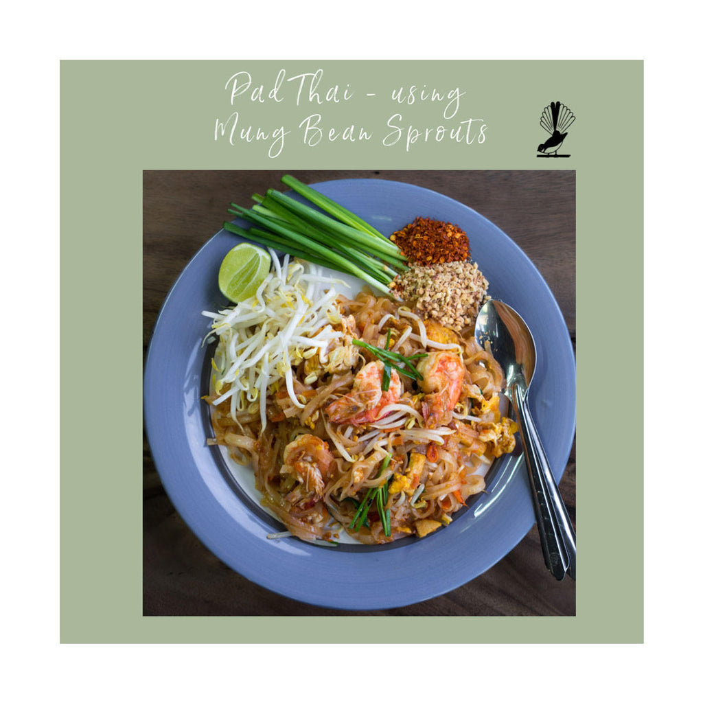 Goodlife Organic Mung Bean Sprouting Seeds_2