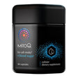 +Blood Sugar Antioxidant Formula