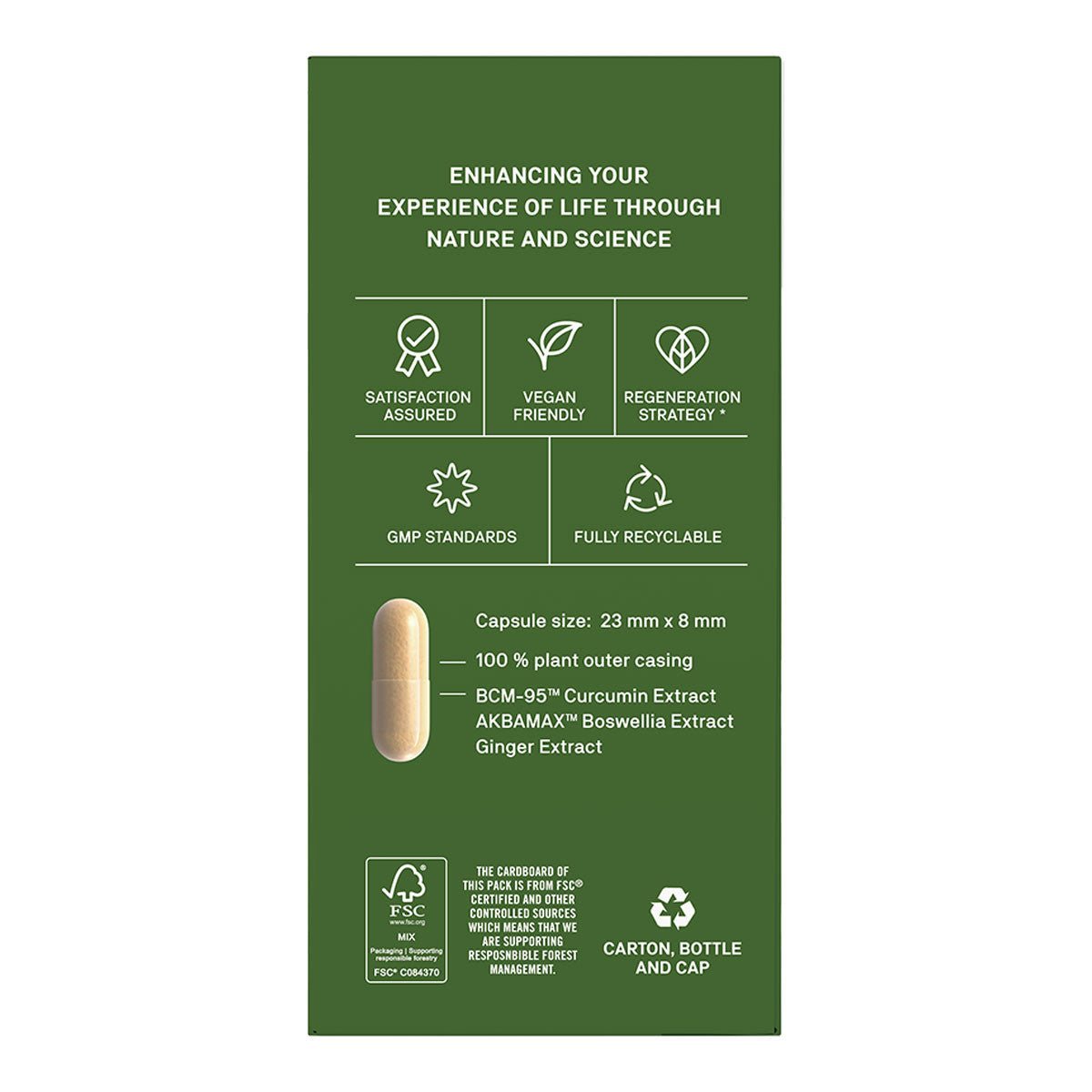 Natroceutics Curcumin Fortified BCM-95 & Akbamax & Gingerol _3