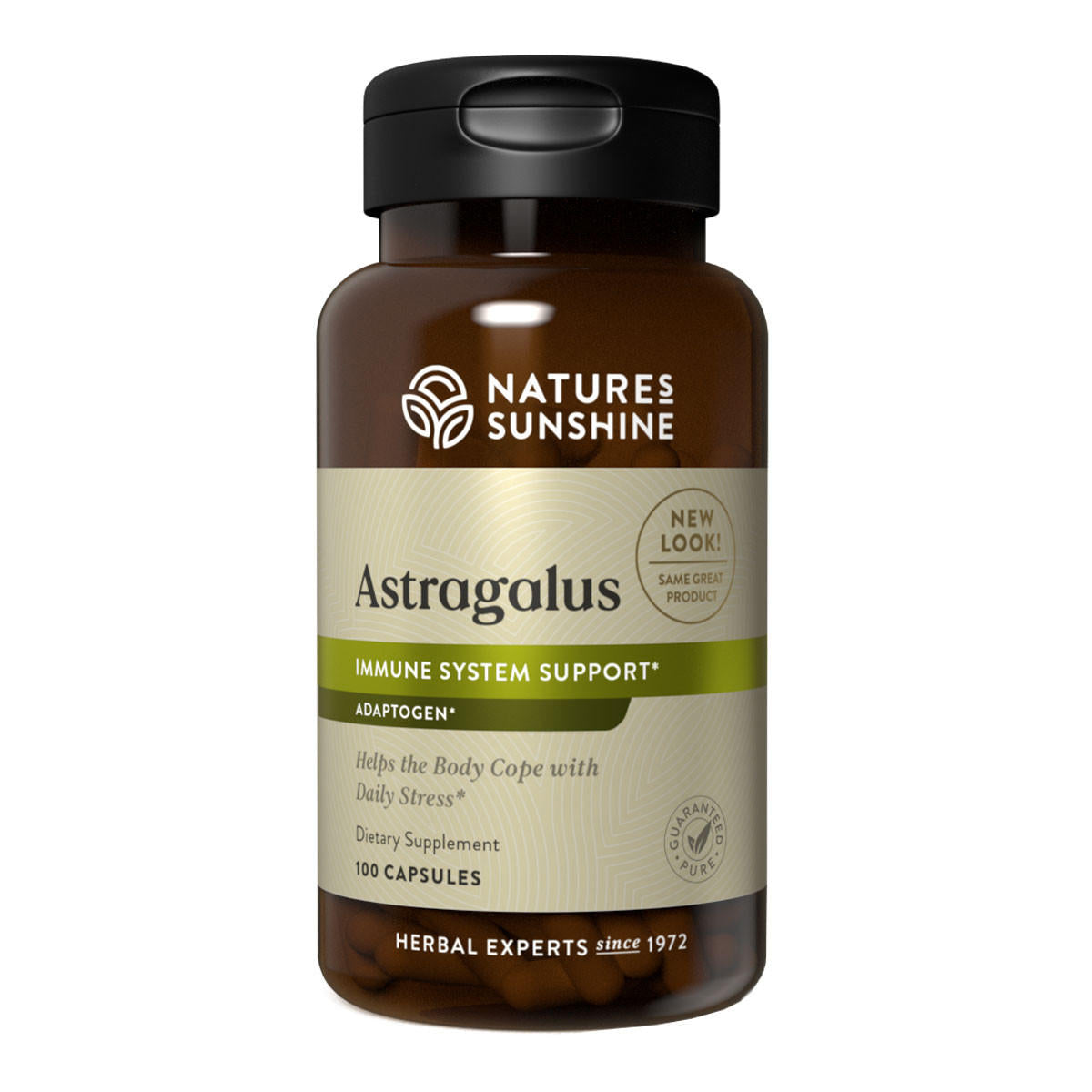 Natures Sunshine Astragalus Herbal Remedy_1
