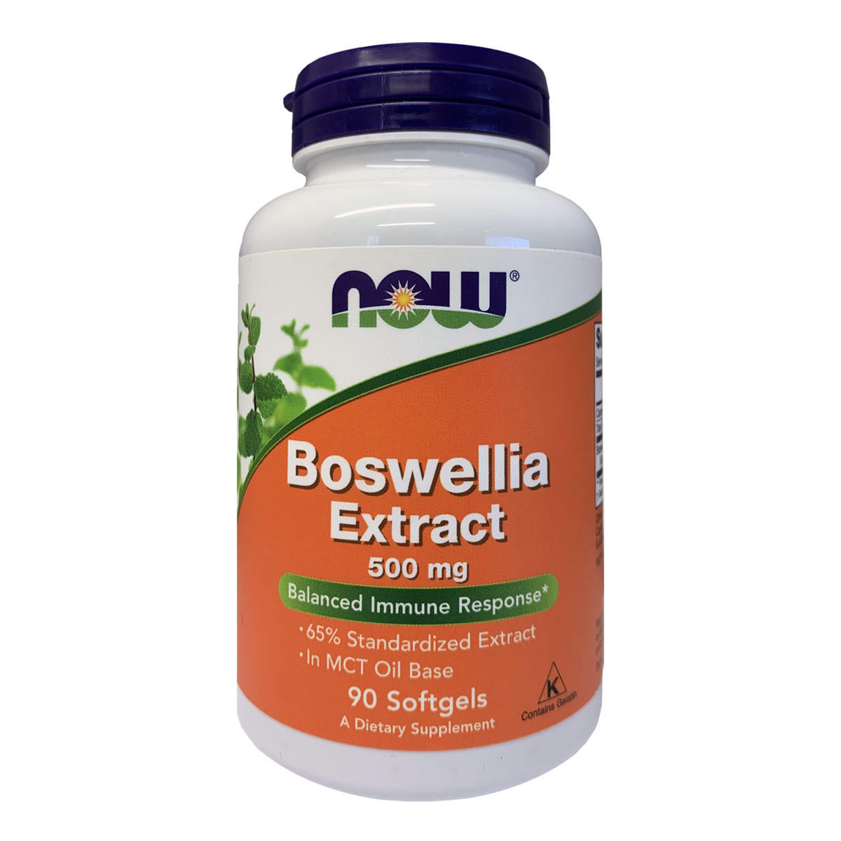 NOW foods Boswellia Extract 500mg_1