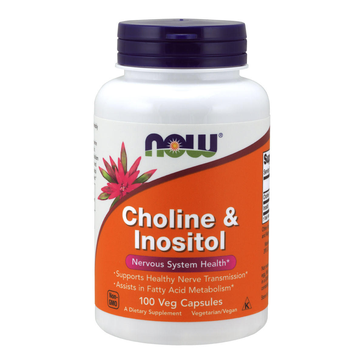 NOW foods Choline and Inositol 500mg_1