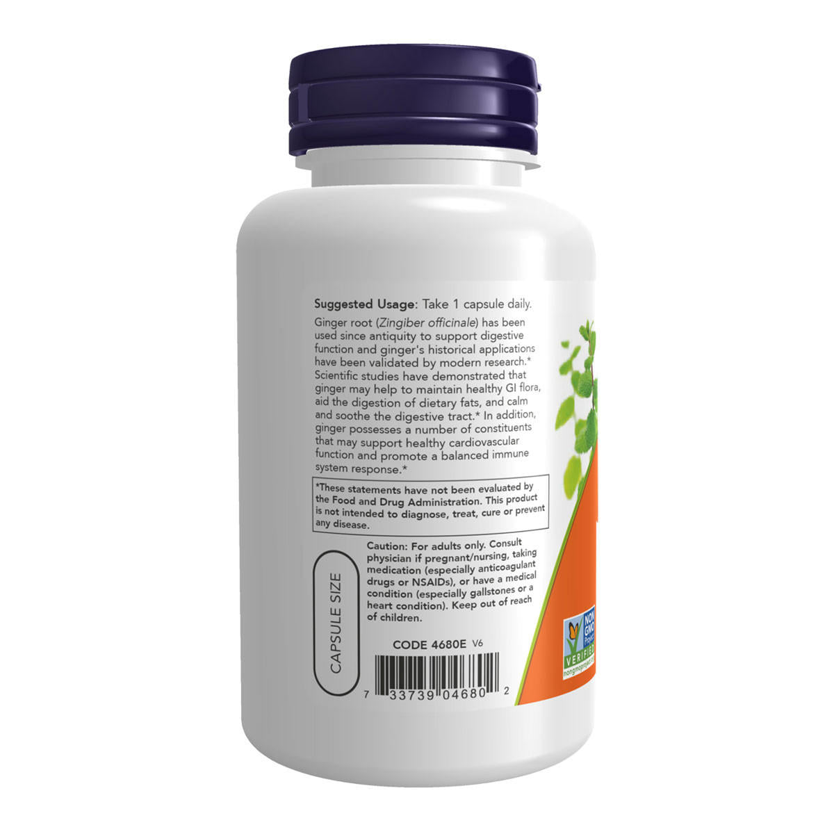 NOW foods Ginger Root 550mg_2