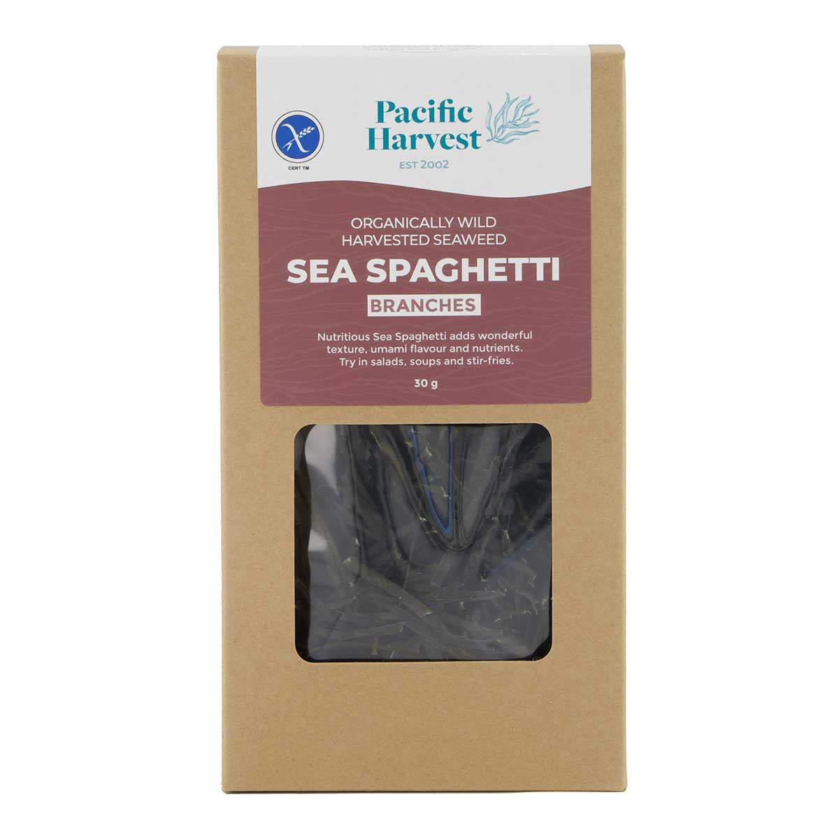Pacific Harvest Sea Spaghetti Branches _1