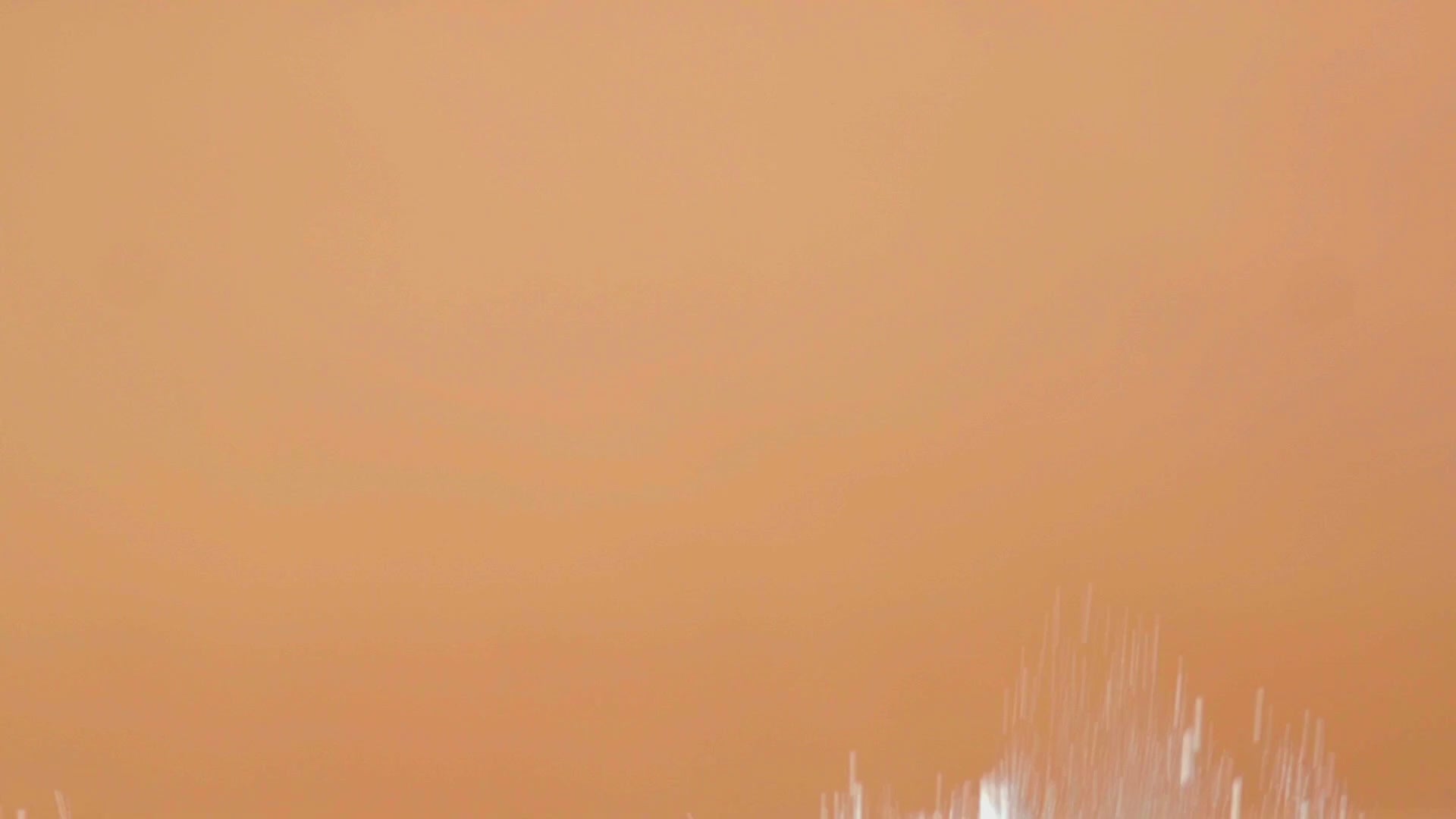 Montage showing graphics of water, flowers, fruit, and Vitamin C Booster Treatment.