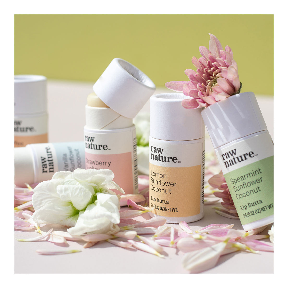 raw nature Spearmint Sunflower Coconut Lip Butta _3