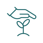 Hand planting sapling icon.
