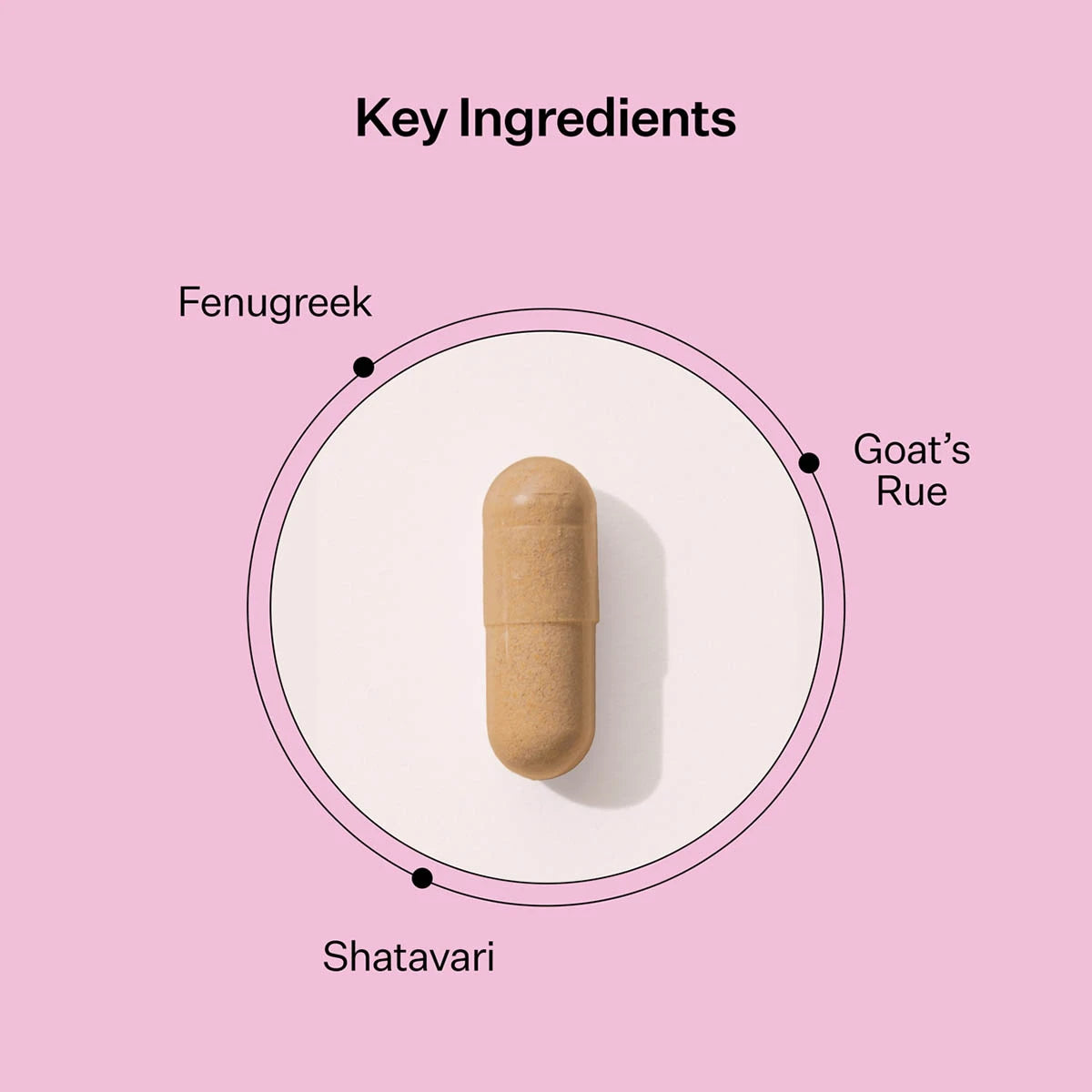 Key ingredients listed - fenugreek, goat's rue, shatavari with a single capsule pictured on a pink background.