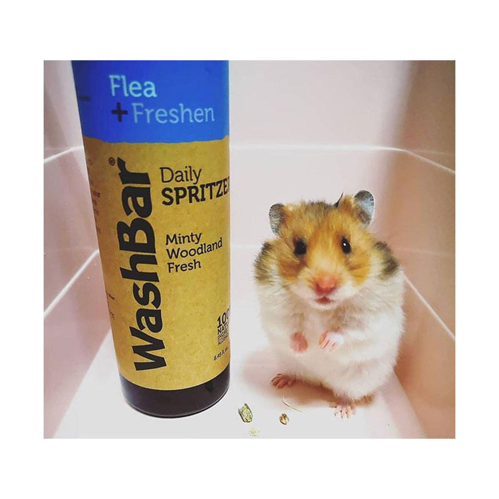 WashBar Daily Spritzer Flea Freshen_2