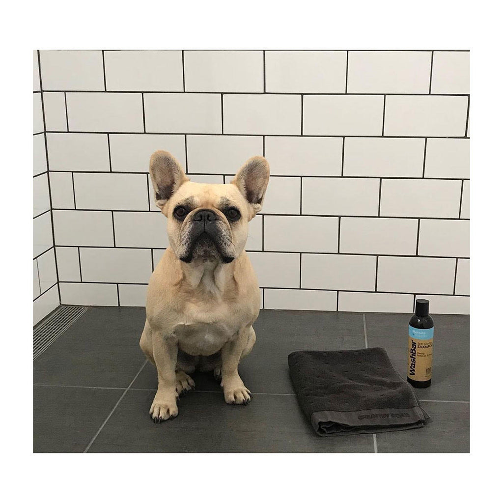 WashBar Itch Soothe Shampoo Manuka Kakadu_2