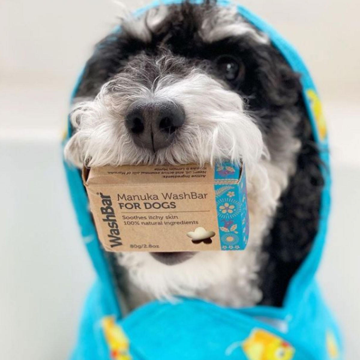 WashBar Manuka WashBar For Dogs_2