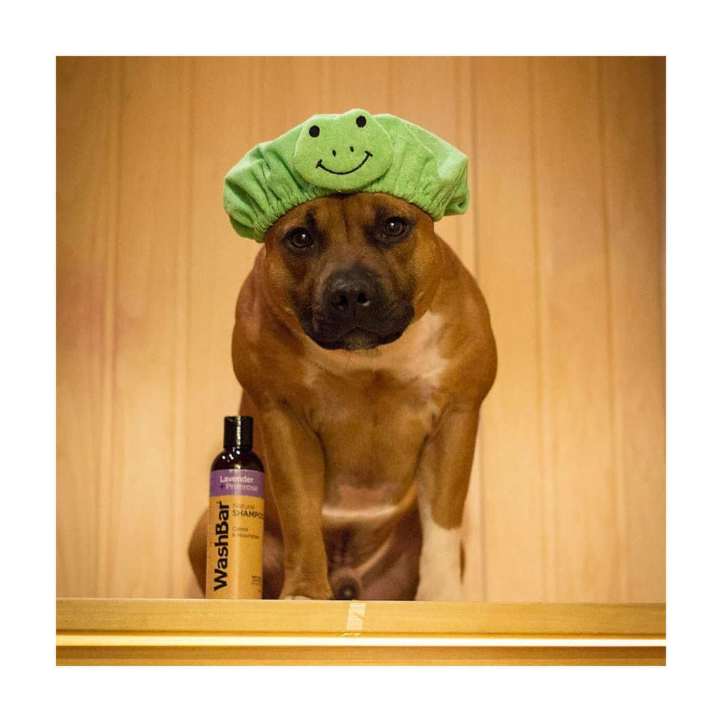 WashBar Natural Shampoo Lavender Primrose_2