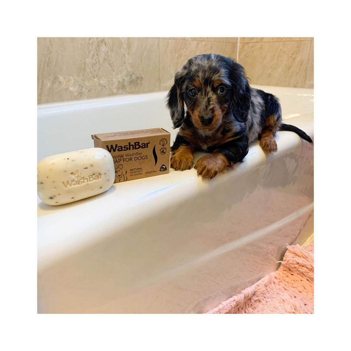 WashBar Original WashBar Soap for Dogs_2