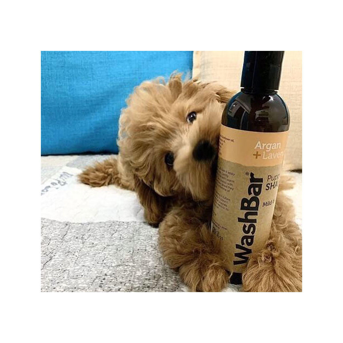 WashBar Puppy Shampoo Argan Lavender_2