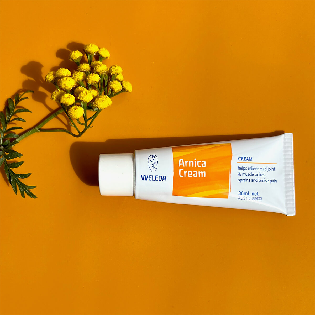 Weleda Arnica Cream tube with yellow flowers on an orange background.
