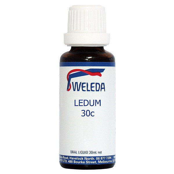 Ledum Palustre 30c
